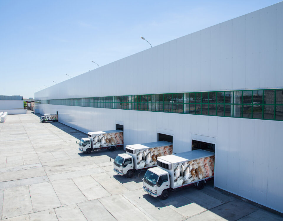 Factory with coldchain lorries in the loading docks